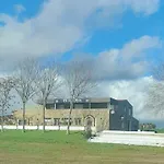 Entreolivos