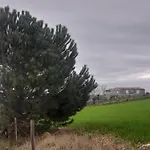 Entreolivos Badajoz