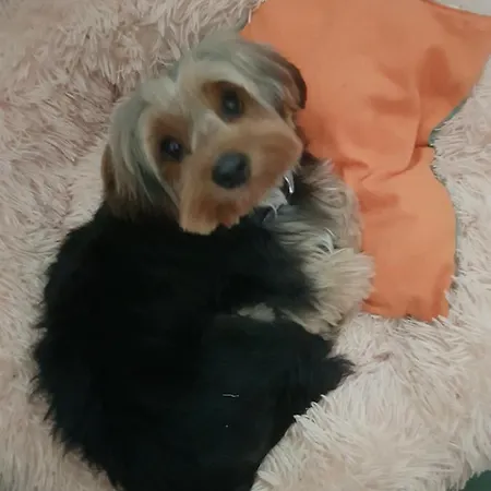 ゲストハウス Entreolivos 4*