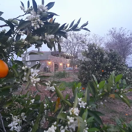 Guest house Entreolivos