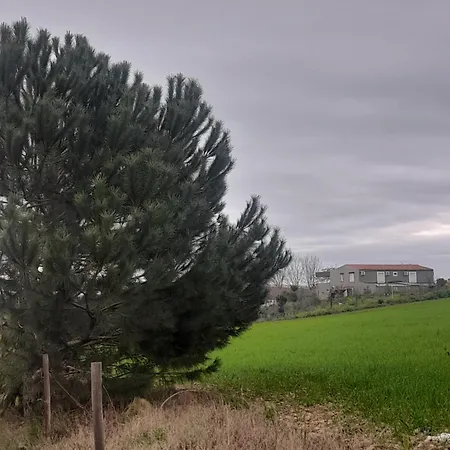 Entreolivos バダホス