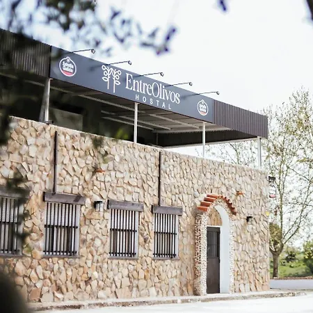 Entreolivos ゲストハウス 4*