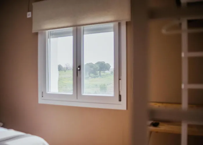 Guest house Entreolivos