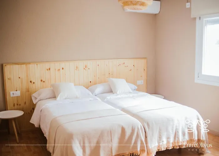 Guest house Entreolivos Badajoz