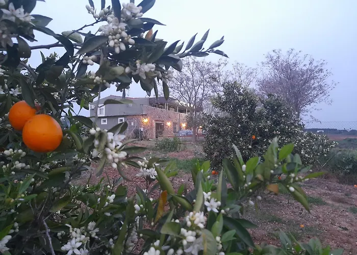 Guest house Entreolivos